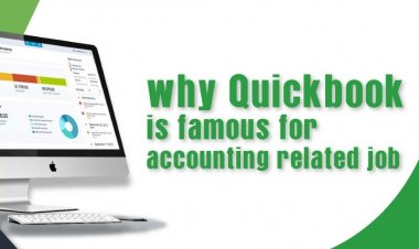 Why QuickBooks Software is Famous for Accounting